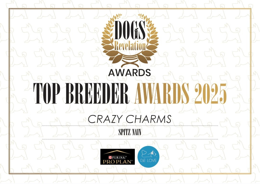 Elevage CRAZY CHARMS élu meilleur élevage français 2025