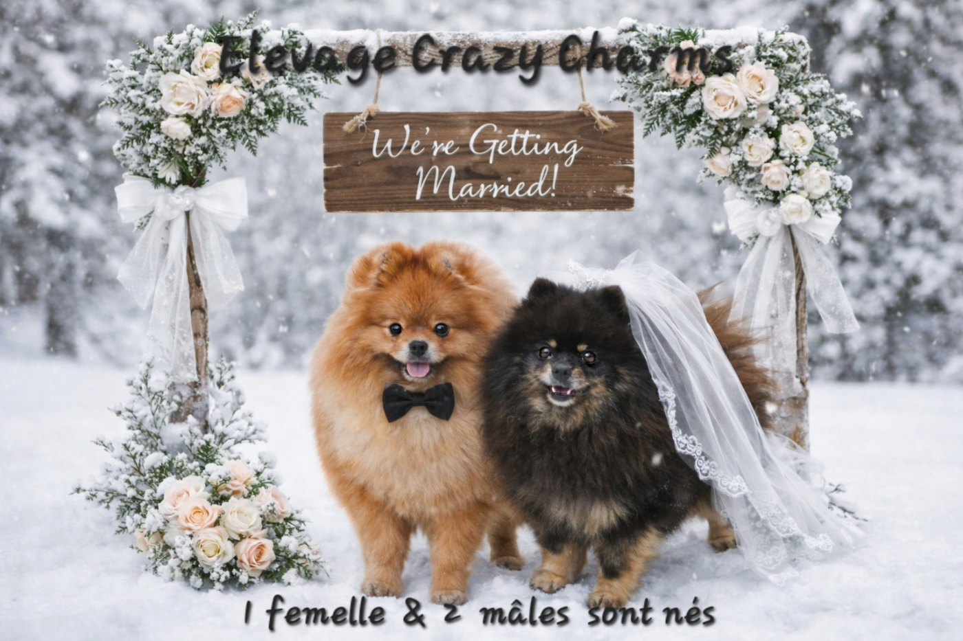 les parents des nouveaux nés